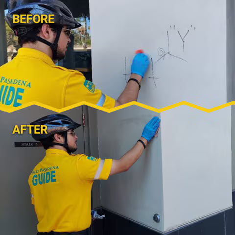 SafeWipes – Pre-Moistened Graffiti Removal Wipes (Box of 20 Pouches)